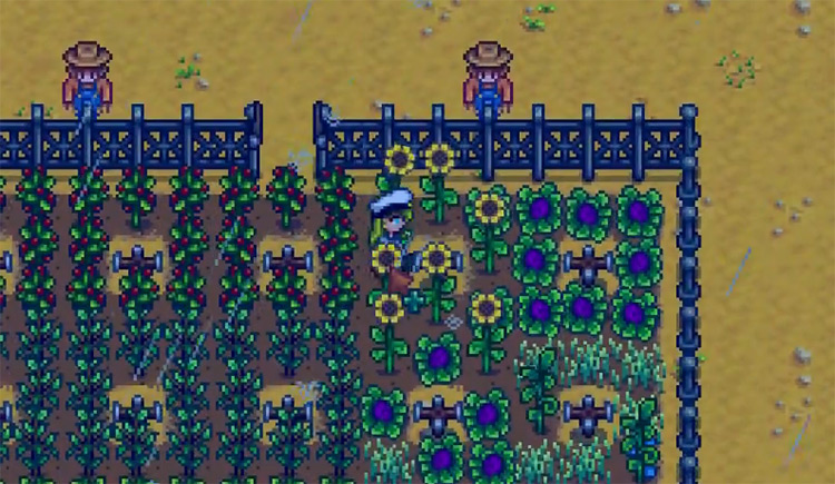 Sunflowers Stardew Valley screenshot