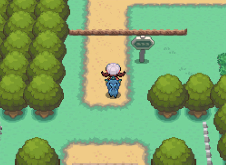 The north exit of Viridian City onto Route 2 / Pokemon HGSS