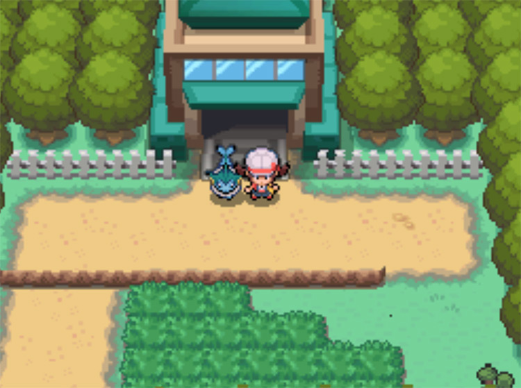 The entrance to Viridian Forest on Route 2 / Pokemon HGSS