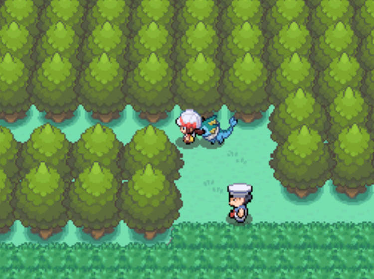 The thin gap in the trees on Route 38 / Pokémon HGSS
