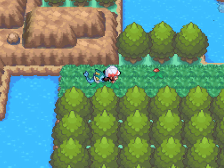 The patch of grass on Route 44 where wild Lickitung can be found / Pokémon HGSS