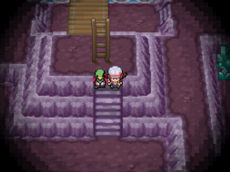 The ladder at the top of the steep staircase in Cerulean Cave / Pokémon HGSS