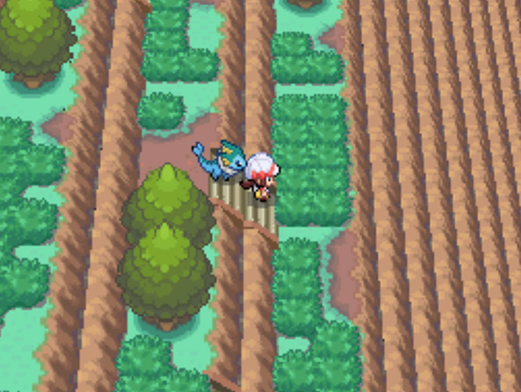 The last flight of stairs you need to descend in this part of Mt. Silver / Pokémon HGSS