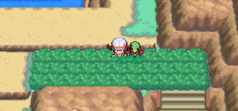 Route 45 in HeartGold where you can steal everstones