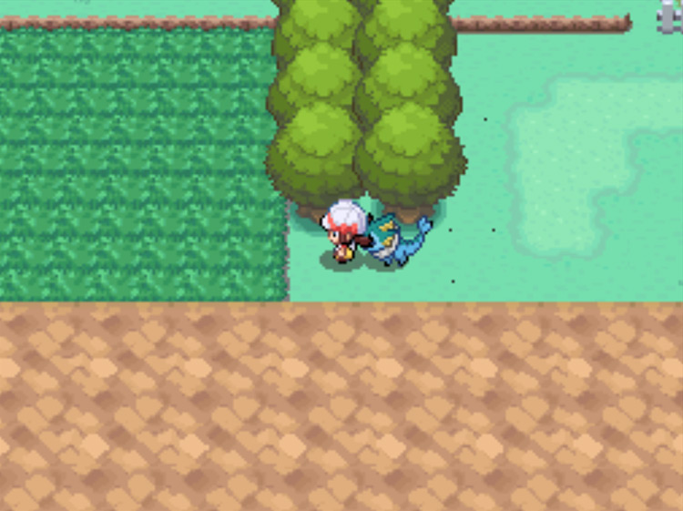 The grass on Route 4 where wild Jigglypuff can be found / Pokémon HeartGold and SoulSilver