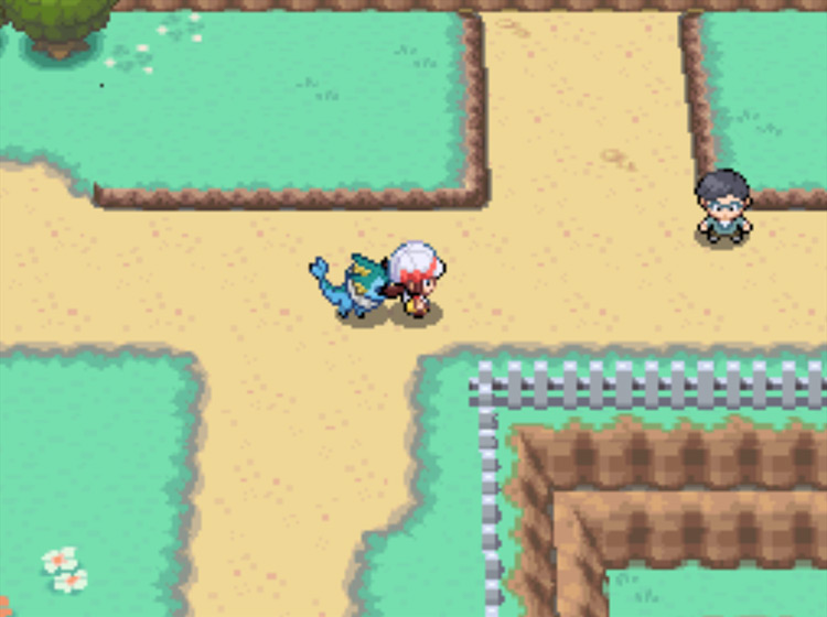 The correct turn at the T-junction on Route 25 / Pokémon HeartGold and SoulSilver