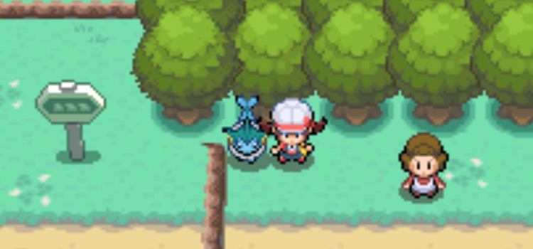 Route 15, where you can get an oval stone in HeartGold