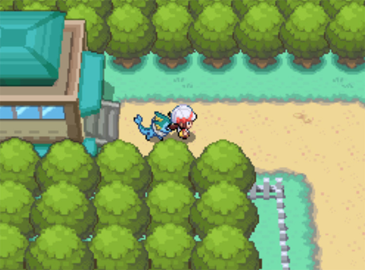 The start of Route 15, as seen after leaving Fuchsia City's east gate / Pokemon HGSS