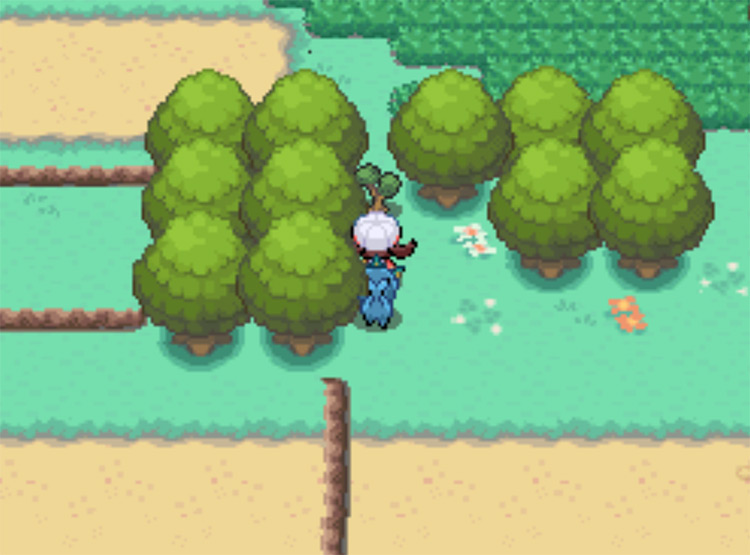 The Cut-able tree on Route 15 / Pokemon HGSS
