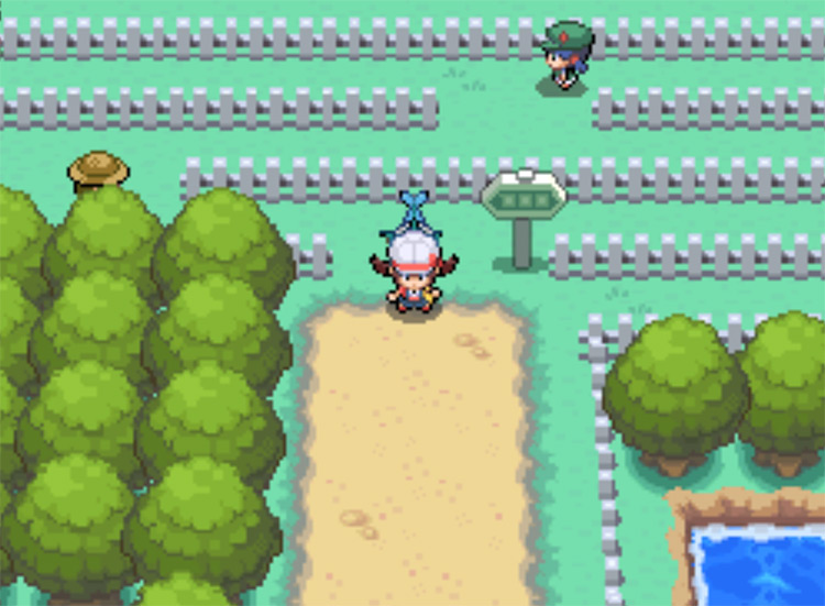 The beginning of Route 14 / Pokemon HGSS