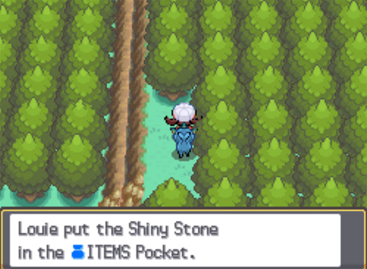 The location of the Shiny Stone in the National Park / Pokemon HGSS