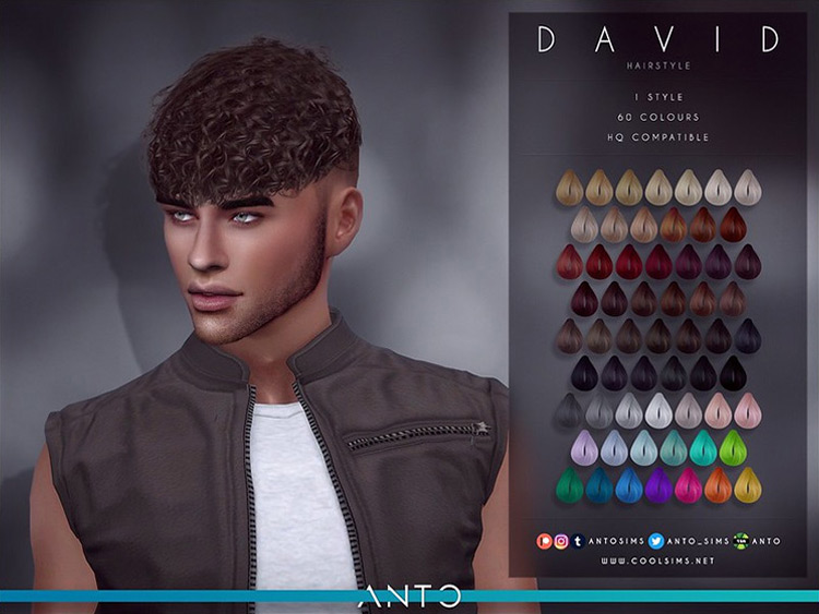 David Hairstyle / Sims 4 CC