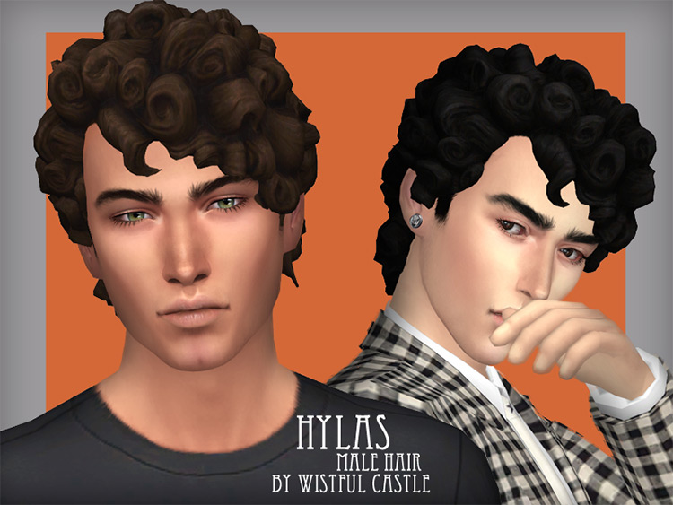 Hylas Male Hair / Sims 4 CC