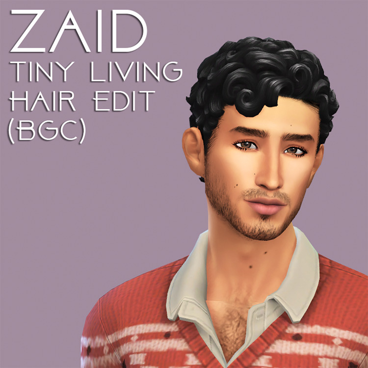 Zaid Hair / Sims 4 CC