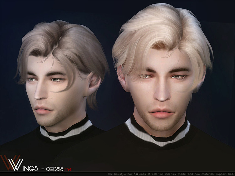 fluffy hair sims 4 cc