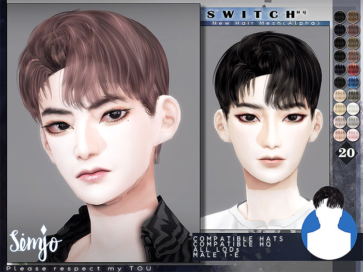 Switch / Sims 4 CC