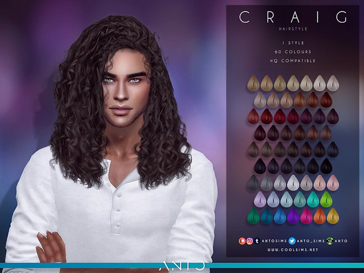 Craig Hair (Curly Long Alpha Hair for Men) / Sims 4 CC