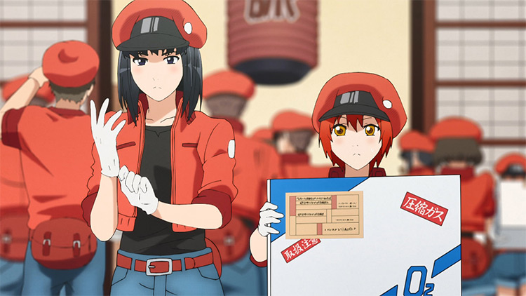 Cells at Work! anime screenshot