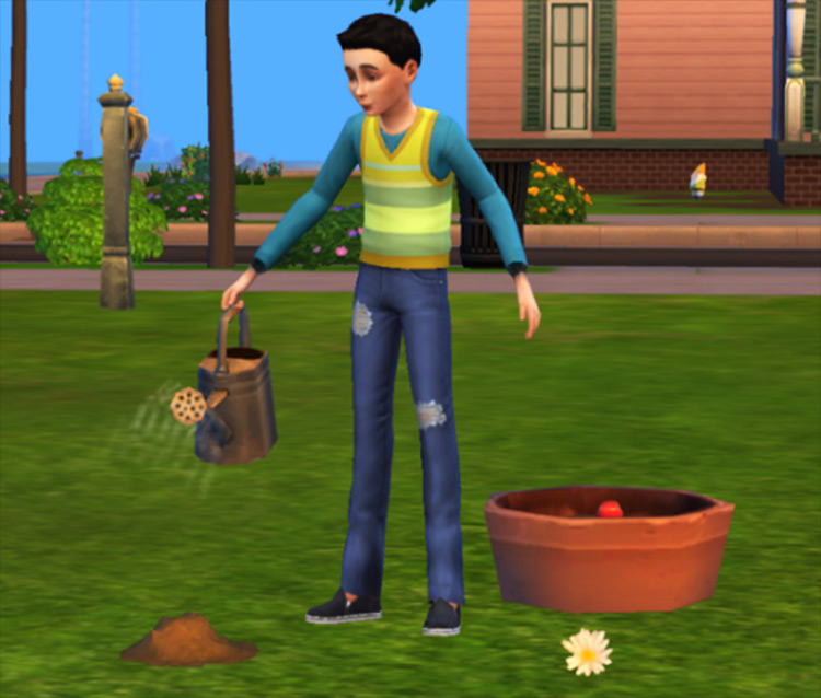 cute garden mods for the sims 3