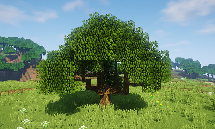 Dynamic Trees mod for Minecraft