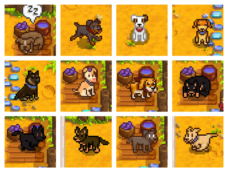 Best Stardew Valley Dog Mods  All Free    FandomSpot - 52