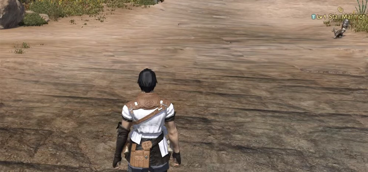 Character standing in field in FFXIV