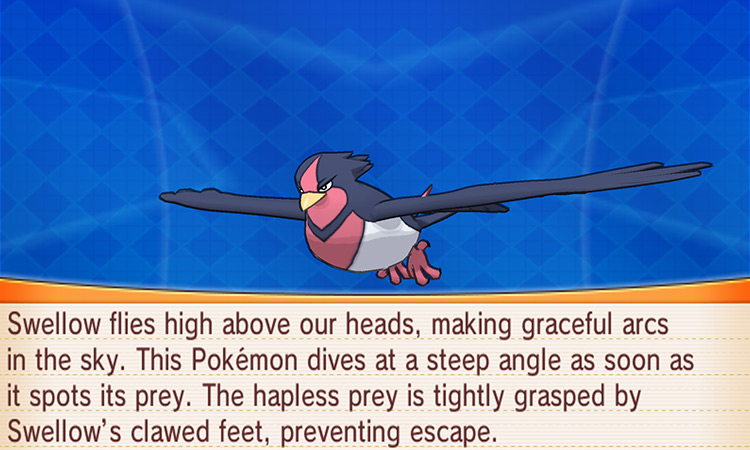 Swellow in Pokemon Omega Ruby/Alpha Sapphire