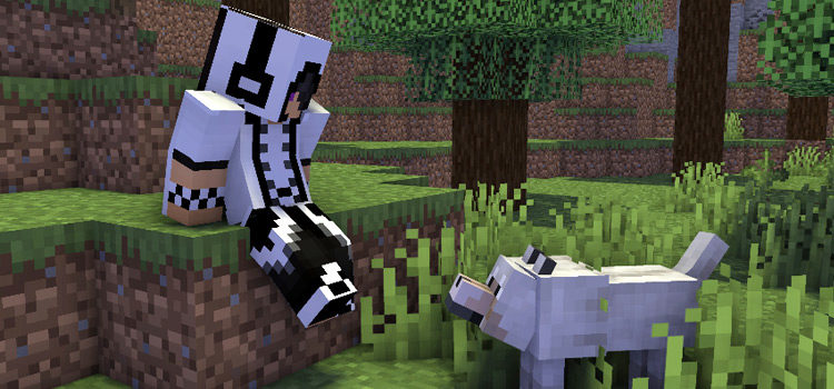 Cool White Checkered Hoodie Guy with Dog (Minecraft Preview)