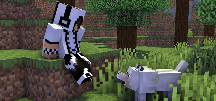 Cool White Checkered Hoodie Guy with Dog (Minecraft Preview)