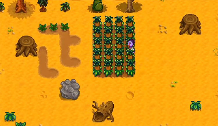 Top 5 Best Cask Items For Profit in Stardew Valley   FandomSpot - 9