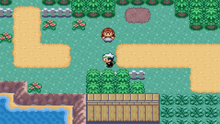Pokémon Altered Emerald Game screenshot