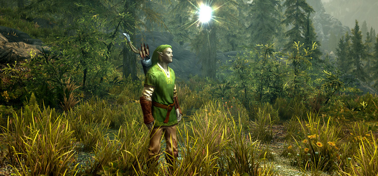 legend of zelda skyrim