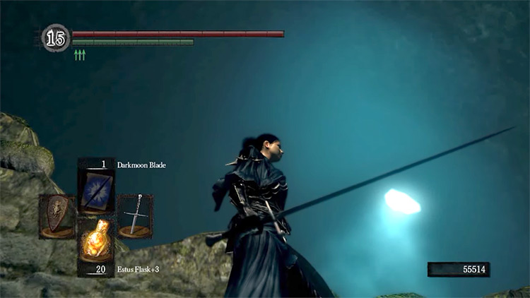 Dark Souls Remastered Estoc screenshot