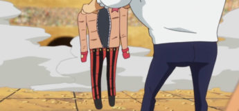 Kelly Funk Jacket Jacket Fruit Power in One Piece (Anime)