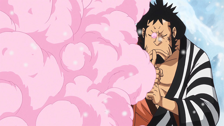 Kin'emon Garb-Garb Fruit (Fuku Fuku no Mi) One Piece anime screenshot