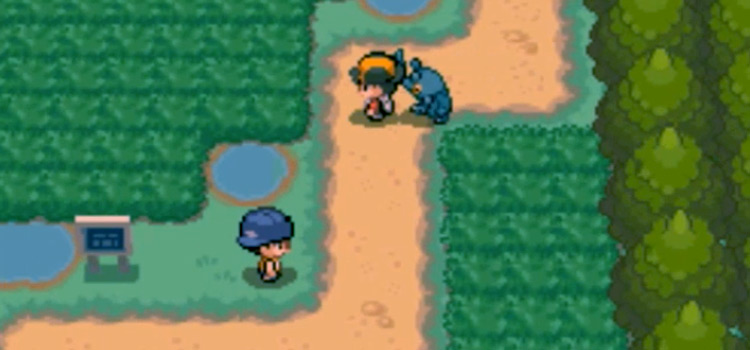 Pokémon Heart Gold & Soul Silver - Headbutt Trees