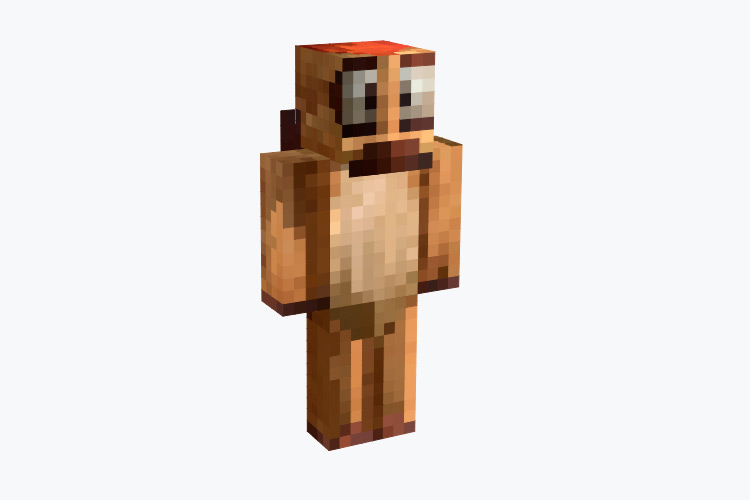 Timon Lion King Minecraft Skin
