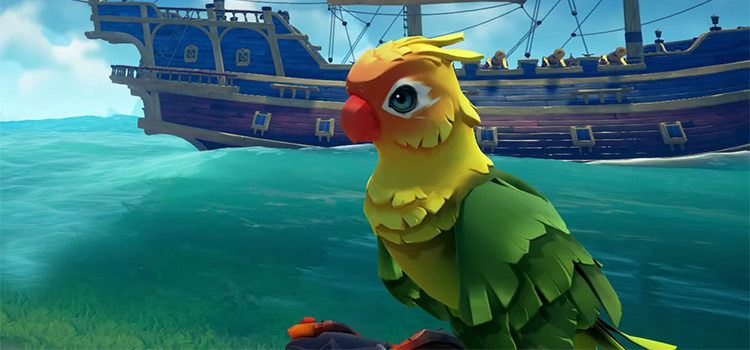 Sea Of Thieves: The Best Parrots, Ranked (Macaws, Parakeets & Cockatoos)