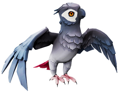 Grey Wing Parakeet from Sea of Thieves
