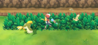 Wild Squirtle in Grass / Pokémon Let's Go Eevee