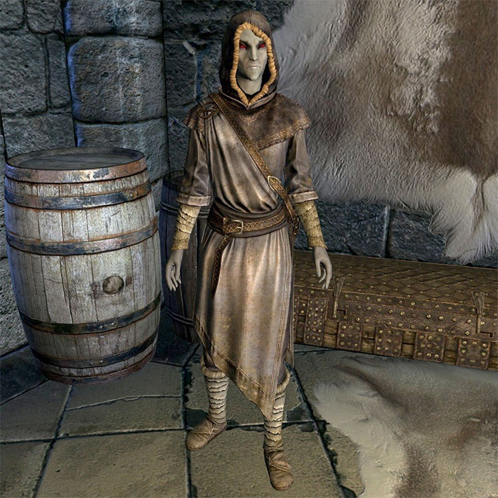 15 Best Skyrim Stewards For Your House   FandomSpot - 99