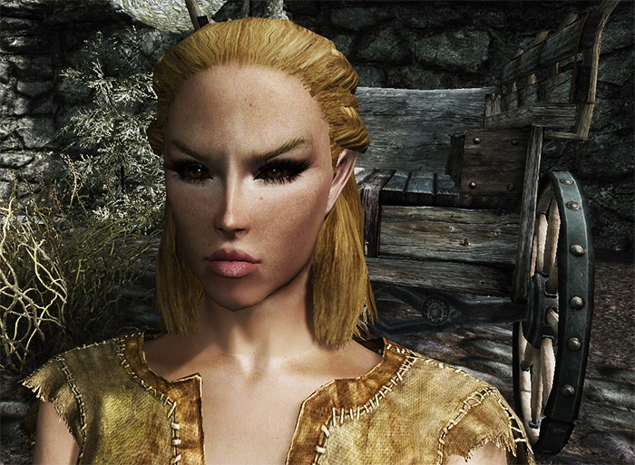 most popular race in skyrim