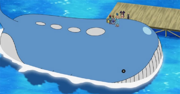 Wailord from the anime