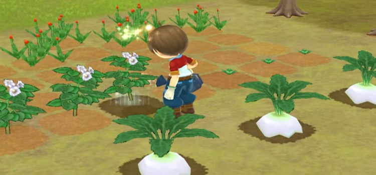 best harvest moon game on 3ds