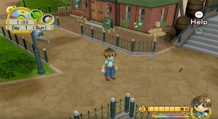 harvest moon wii