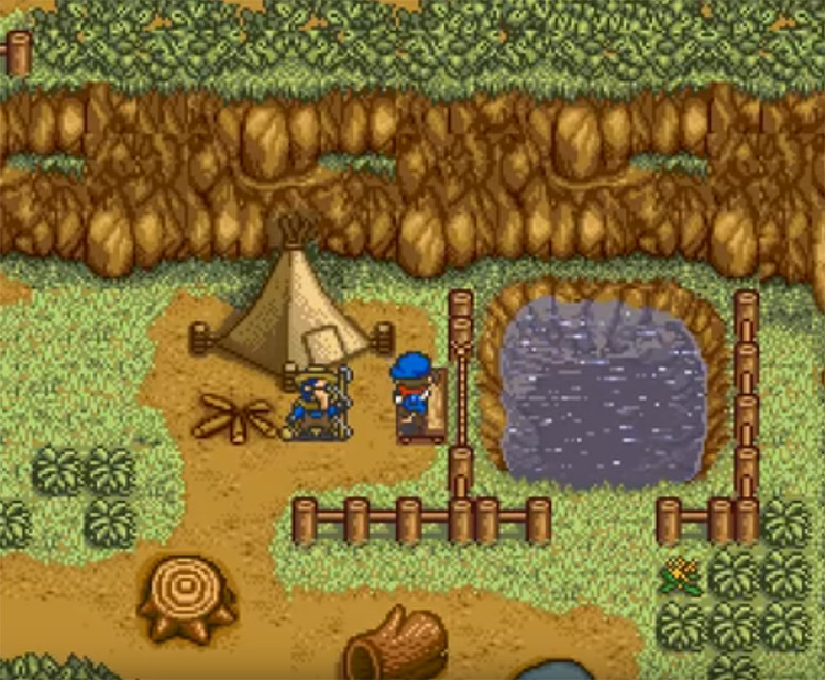 play the ds version of harvest moon pc