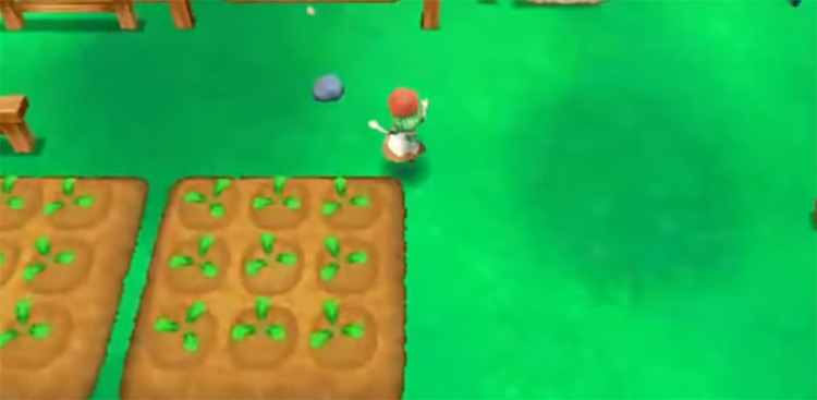 Top 25 Best Harvest Moon Games Of All Time  Ranked and Reviewed    FandomSpot - 4