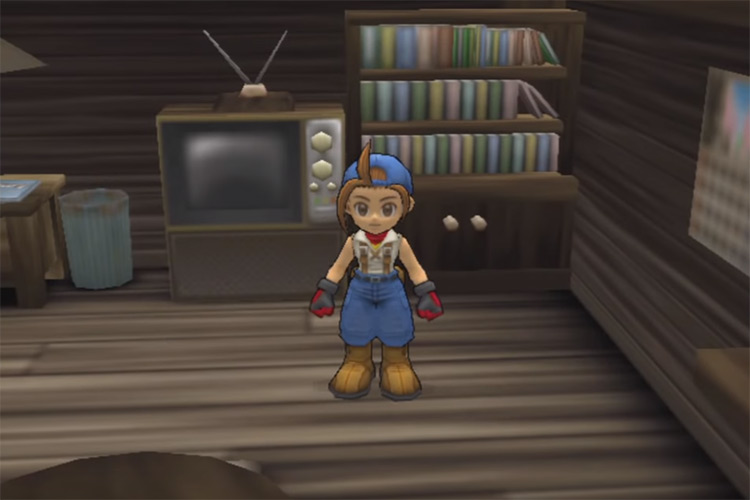 Harvest Moon Save The Homeland screenshot