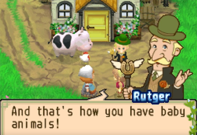 harvest moon: animal parade