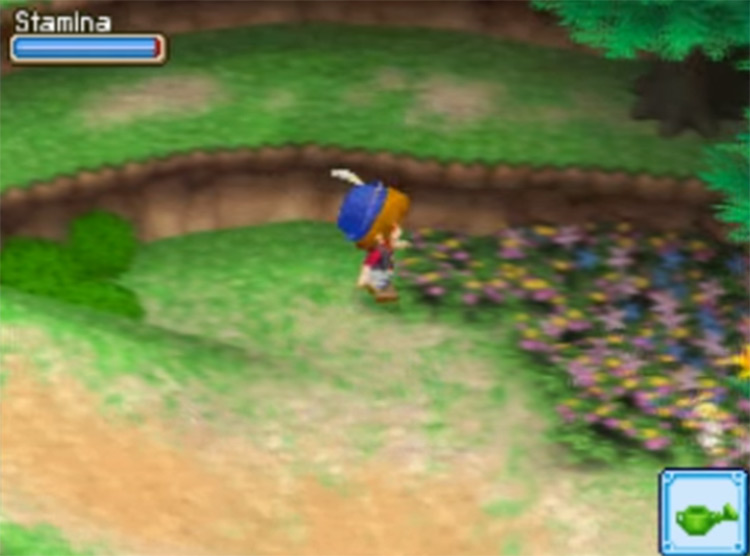 Harvest Moon DS: Grand Bazaar screenshot